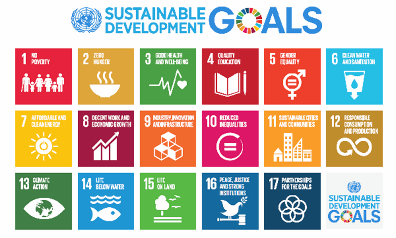 UN-Sustainable-development-goals-logo.png (1)