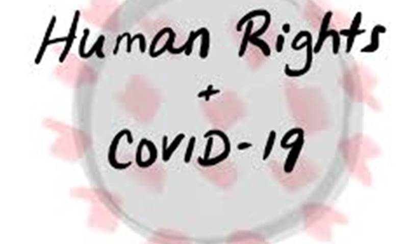 A grey and pink virus molecule with the words 'Human Rights + COVID-19' scribbled over it in black.
