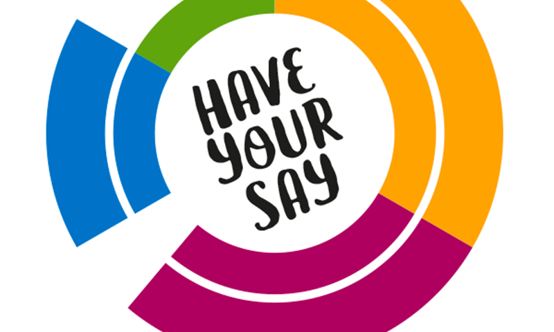 Cartoon graphic of speech bubble with yellow, blue, green and pink outlines. It says 'Have your say.'